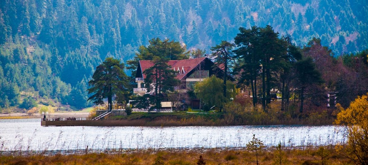 Who needs insurance?